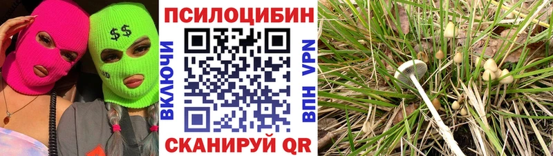 Псилоцибиновые грибы мухоморы  мега зеркало  Магадан  хочу  