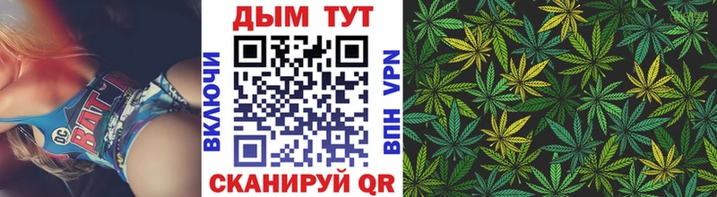 Бошки Шишки SATIVA & INDICA  наркошоп  мега ссылка  Магадан 